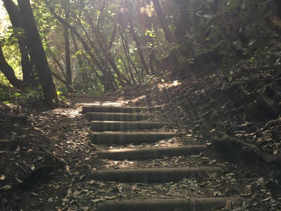 «PASOS QUE UNEN»: Actividades de Bienestar y encuentro. Asociación TLP Impulso